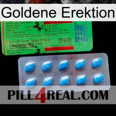 Golden Erection new03